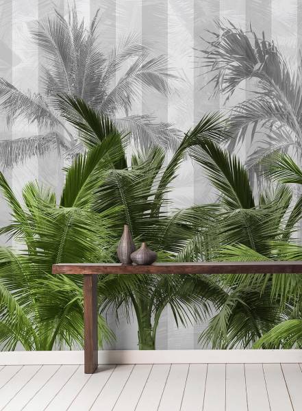 Palms spring - wallpaper
